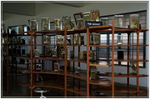 Sri Siddhartha Academy of Higher Education Tumkur Laboratory photo 5